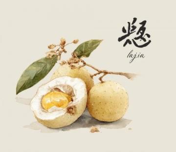 中山-南頭荔枝柴燒鵝