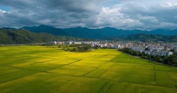 惠州市麥地片區(qū):全面解析發(fā)展概覽