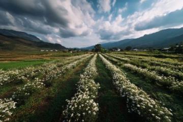 走進春暖花開的閩南美景