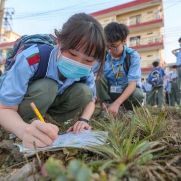 巴州區興文小學校園農場種蔬菜，校門口擺攤搞義賣