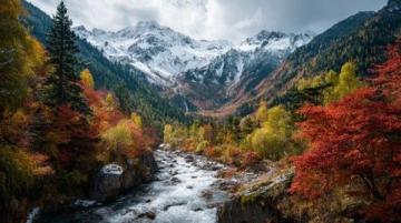 九寨溝一日游：奇幻探險之旅，開啟你的山水童話之旅