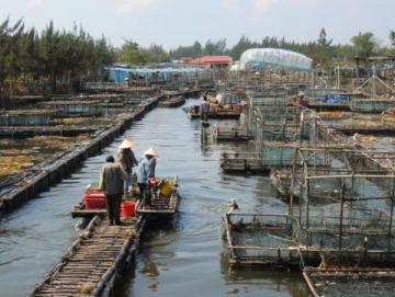 成都魚販與城管的小風波：民生艱難還是城市管理不善？