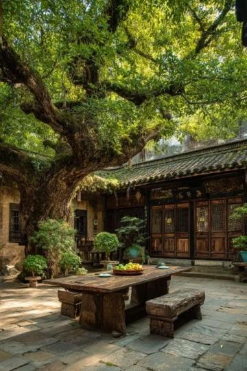 迷失在杭州綠野仙蹤:云徑天竹咖啡館探秘之旅