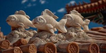 鯉魚躍龍門:山西黃河峽谷中的古代傳說與自然奇觀