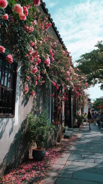 大理深度美食游:段公子、風(fēng)花雪月魚,品味一整年難忘美景與佳肴