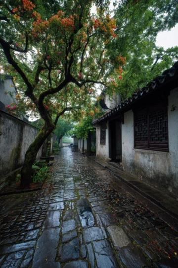 探尋江南水鄉：紹興——今年我最鐘情的旅行目的地