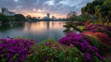 佛山綠島湖游玩指南：探索城市綠肺與生態秘境