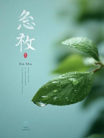 清風(fēng)梳柳細(xì)雨潤(rùn)花:傳統(tǒng)對(duì)聯(lián)文化的現(xiàn)代傳承與發(fā)展