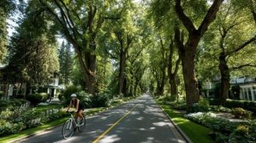 騎車去春游，公園推薦,騎車野餐是我認為度過春天最慵懶的方式了