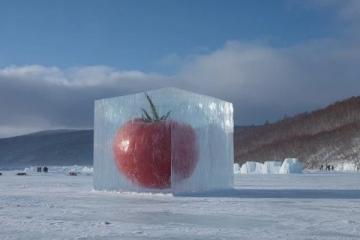 揭秘東北的趣味冷知識:冰雪藝術、方言魅力與美食風情