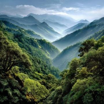 貴州荔波被譽為地球上的綠寶石(荔波，位于貴州省南部)