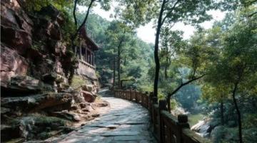 安徽省淮北市:歷史文化與現(xiàn)代經(jīng)濟并重的魅力之城