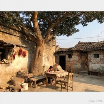 葑門橫街:蘇州古街的美食天堂,無人能空手走出