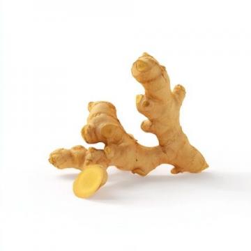 16片姜帶來的無盡驚喜和養生體驗