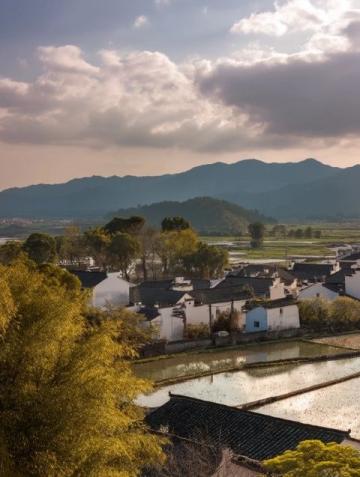 彩云之南的秘密仙境:普者黑美景探秘