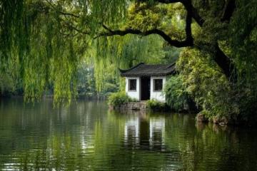 佛山綠島湖游玩指南：探索城市綠肺與生態秘境