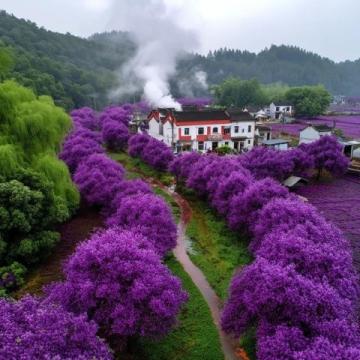 川西秘境:三月春光中,絕美花海引領顏值巔峰