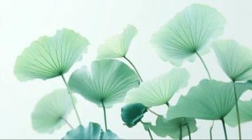 寧波植物園游玩攻略:賞花休閑全指南