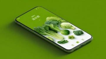 淶源風味：酸菜拌粥的獨特美味（一）