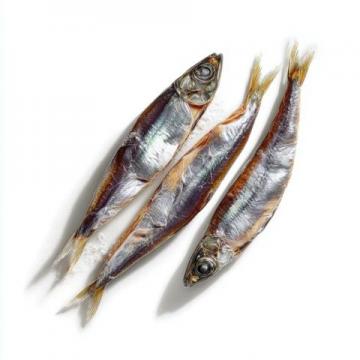 日本人為什么如此鐘愛(ài)秋刀魚？營(yíng)養(yǎng)價(jià)值與文化魅力解析