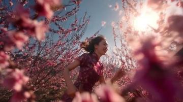 蒙陰岱崮賞花游記:桃花盛開季,近賞七十二崮,體驗(yàn)沂蒙風(fēng)光