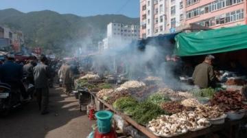 五一貴陽之行：人潮中的美食探索與交通印象