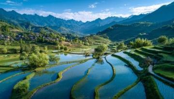 欒川最高鄉(xiāng)鎮(zhèn)冷水鎮(zhèn)：清晨美味調(diào)豆腐，夏日避暑勝地探秘
