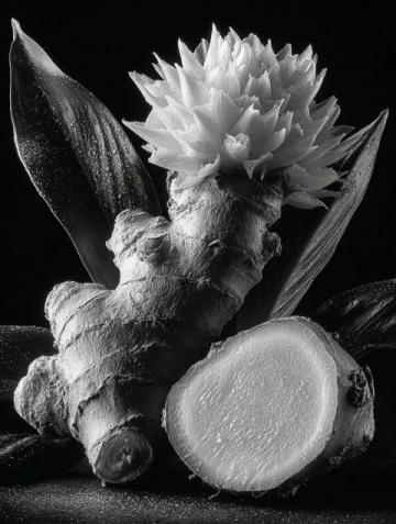 16片姜帶來的無盡驚喜和養生體驗