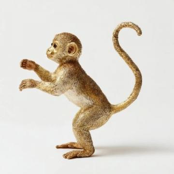 秦嶺金絲猴貪吃模樣惹人愛(ài)