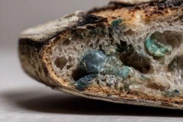 自制咸香芋泥吐司:回味崎本店的經典風味