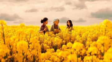 漢中市油菜花一日游攻略:梯田湖光山色美景全體驗