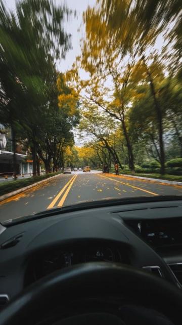 詳解各國道路車道劃分與行駛規(guī)則必看！