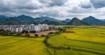 惠州市麥地片區：全面解析發展概覽