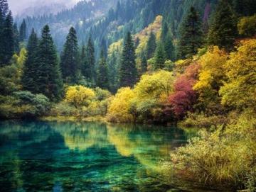 九寨溝一日游：奇幻探險之旅，開啟你的山水童話之旅