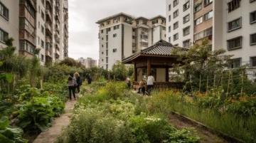 杭州最幸運拆遷村:三次變遷見證未來科技城崛起