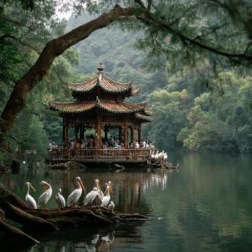 無錫經(jīng)典旅游路線:從太湖美景到古風(fēng)小鎮(zhèn),一站式深度游攻略