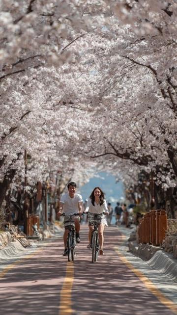 騎車去春游，公園推薦,騎車野餐是我認為度過春天最慵懶的方式了