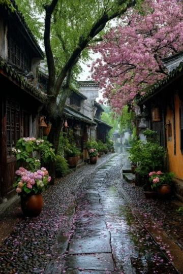 雨水中的浪漫采風(fēng)：重游拱宸橋西文化街的攝影日志