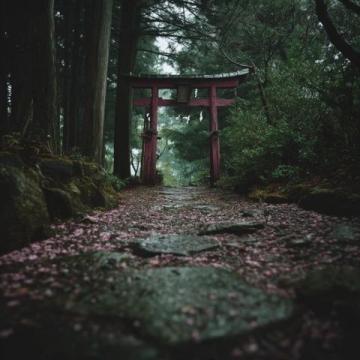 日本之行發現的三個有趣現象