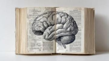 奇葩歷史冷知識大全(歷史冷知識頭條奇葩百科)