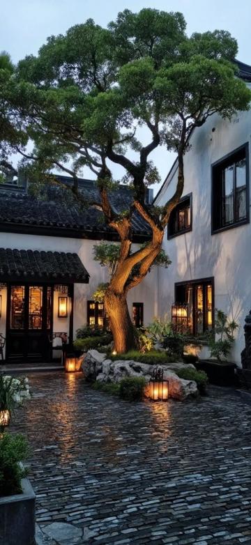 三亞必吃20年老店“林姐香味海鮮”——地道美味，讓你哭著喊著還要來！