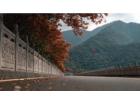 漯河旅游攻略，包括景點、美食、住宿等方面的信息