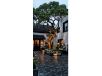 三亞必吃20年老店“林姐香味海鮮”——地道美味，讓你哭著喊著還要來！