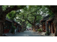 黃山三日游攻略：屯溪老街、黎陽in巷與黃山風(fēng)景區(qū)探秘