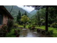 廣西深山探秘：驚艷御水古溫泉