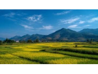 云南大理3天2夜800元全攻略：輕松玩轉(zhuǎn)萬元體驗(yàn)，帶你避開坑！