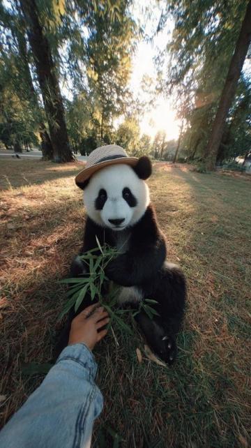 遛娃不費(fèi)媽!北京親子游攻略:5-6月來玩超合適,動(dòng)物園天文館必去