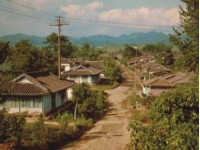 和歌山，紀伊田邊，白瀨——日本的美麗之旅