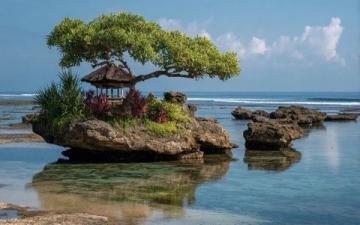 暑假西雙版納5日親子游攻略:人均1200元暢享雨林秘境