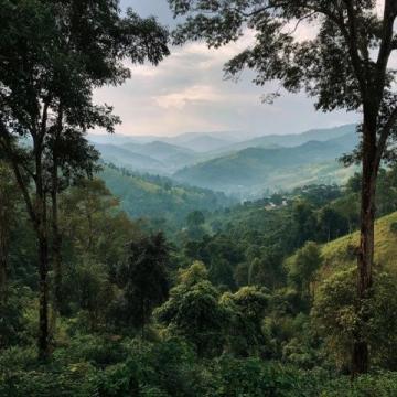 探索西雙版納:6日5夜旅行指南 | 必備出行準備清單